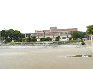 선원초등학교 사진