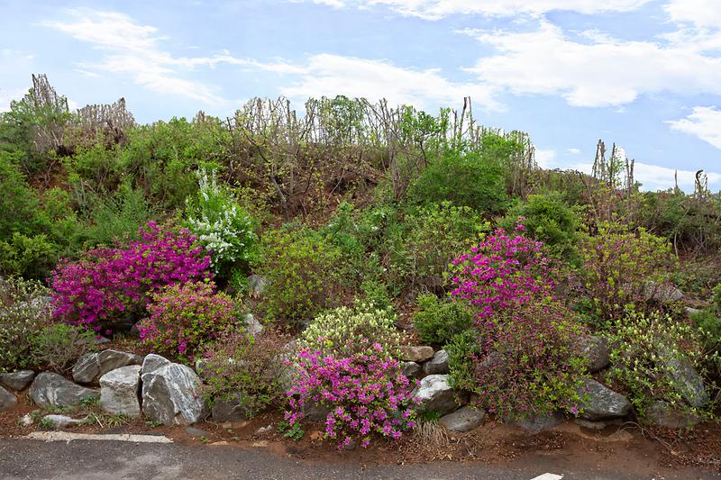 강화군요양원 사진7