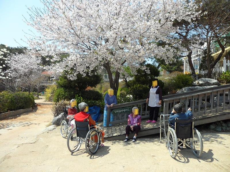 실버프리 강화 사진3