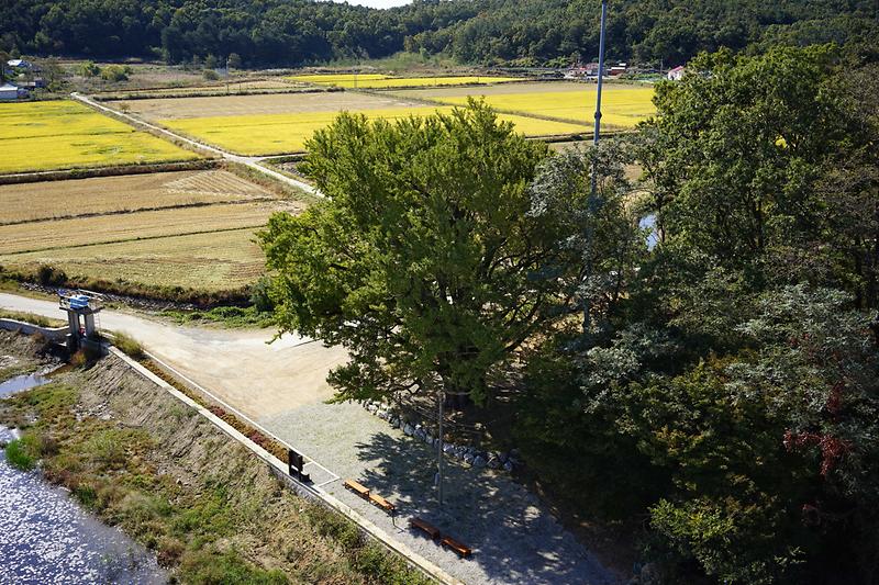 course13. 볼음도길 10번째 사진