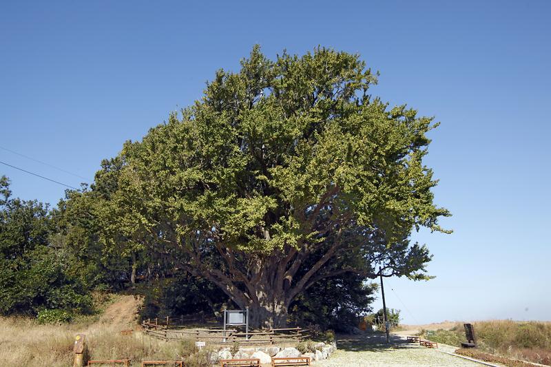 course13. 볼음도길 14번째 사진