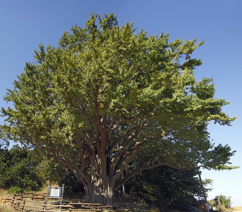 course13. 볼음도길 16번째 사진