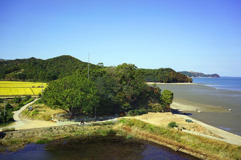 course13. 볼음도길 2번째 사진