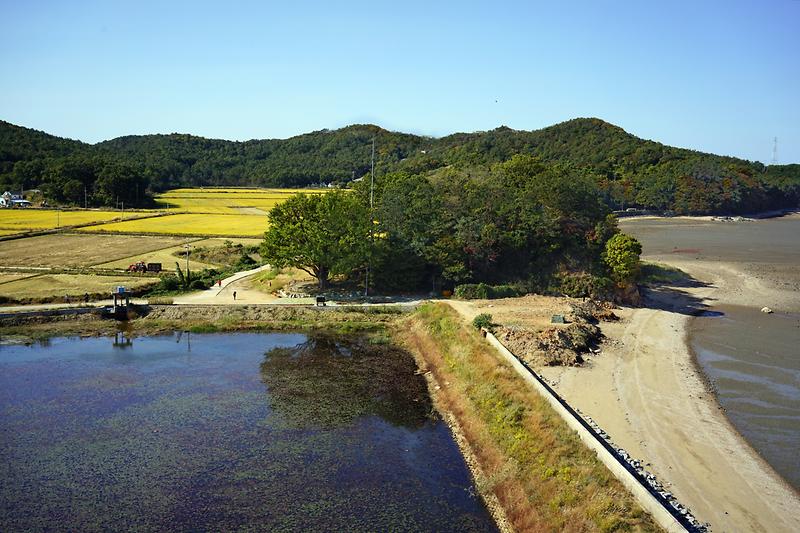 course13. 볼음도길 4번째 사진