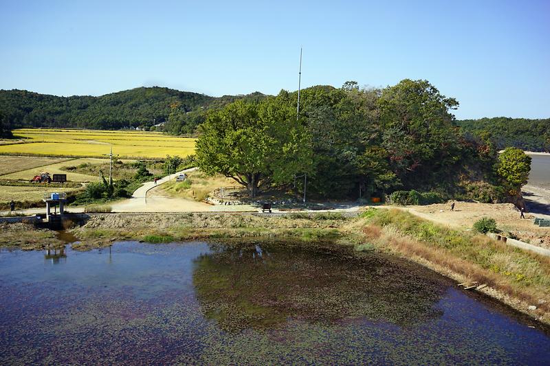 course13. 볼음도길 5번째 사진