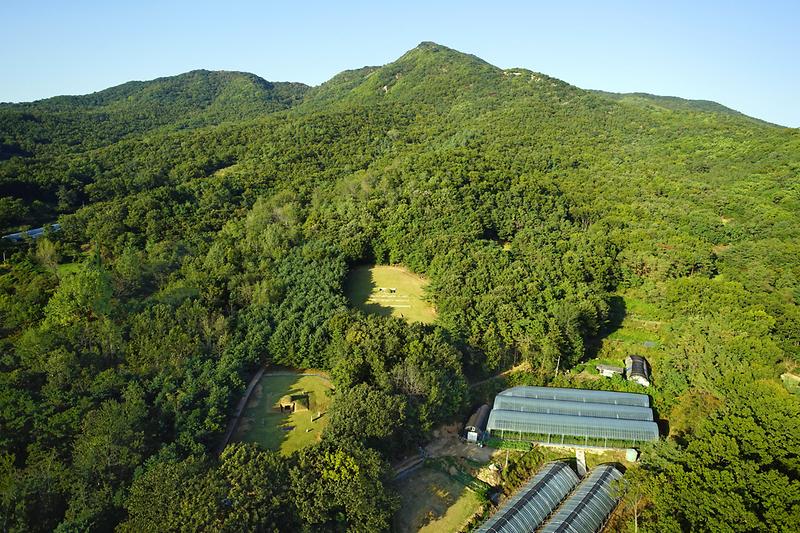 course3. 고려왕릉 가는 길 10번째 사진