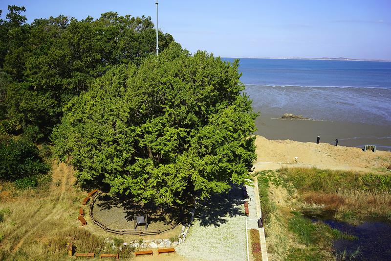 course13. 볼음도길 8번째 사진