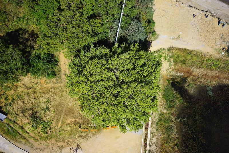 course13. 볼음도길 9번째 사진