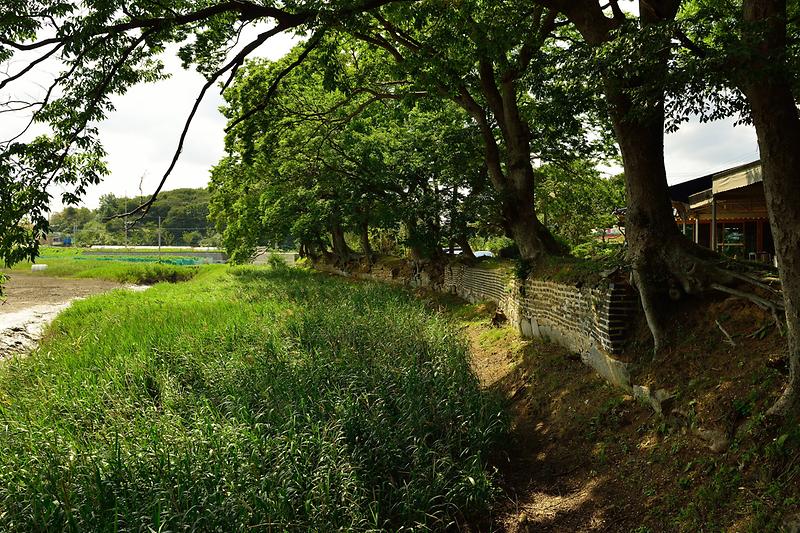 강화전성 사진10