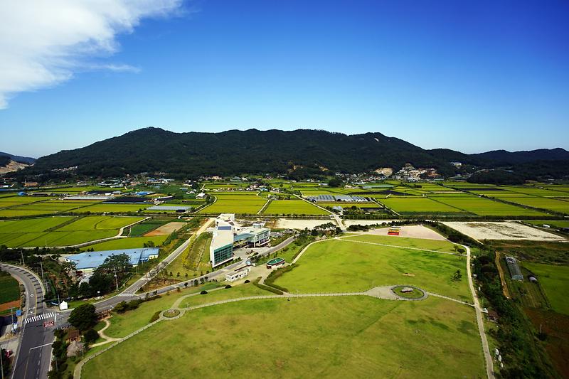 강화 부근리 지석묘(고인돌) 사진1