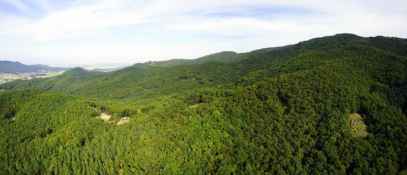 강화 삼거리 고인돌군 사진1