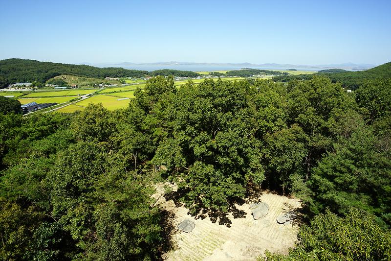 강화 교산리 고인돌군 사진1