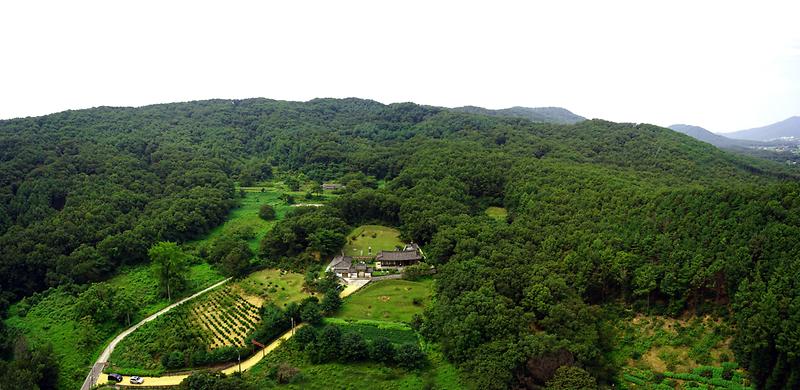 허유전묘 사진1