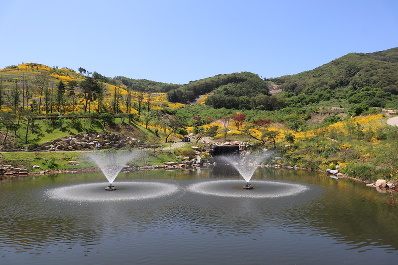 강화루지 사진4