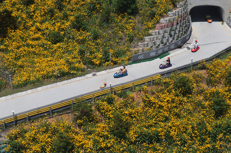 강화루지 사진7