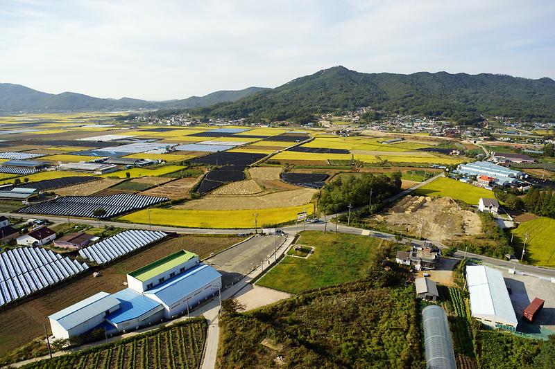 강화부근리점골고인돌 사진2