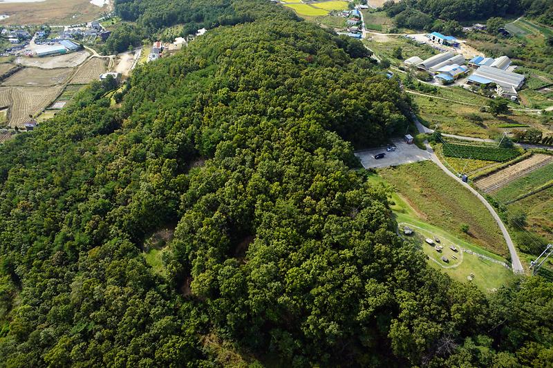 강화 오상리 고인돌군 사진2