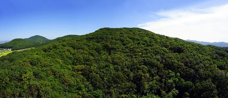 강화 교산리 고인돌군 사진2