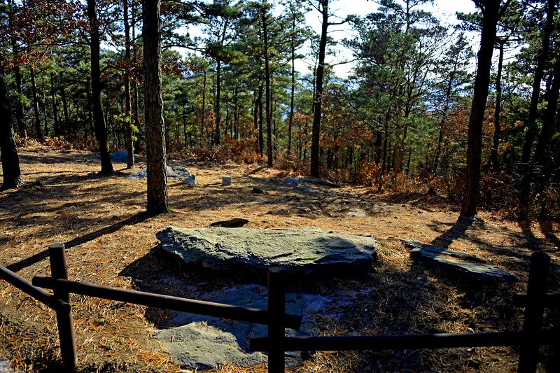 강화 고천리 고인돌군 사진2
