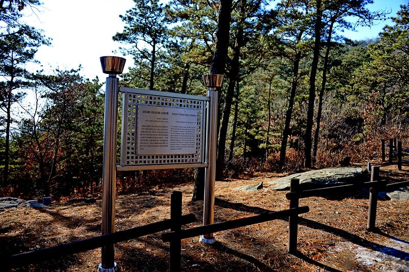 강화 고천리 고인돌군 사진3