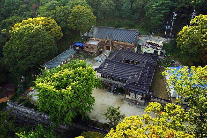강화 백련사 철조 아미타여래좌상 사진3