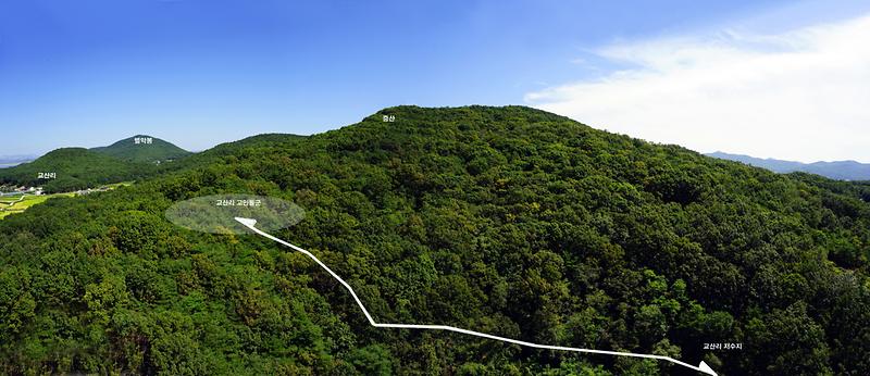 강화 교산리 고인돌군 사진3