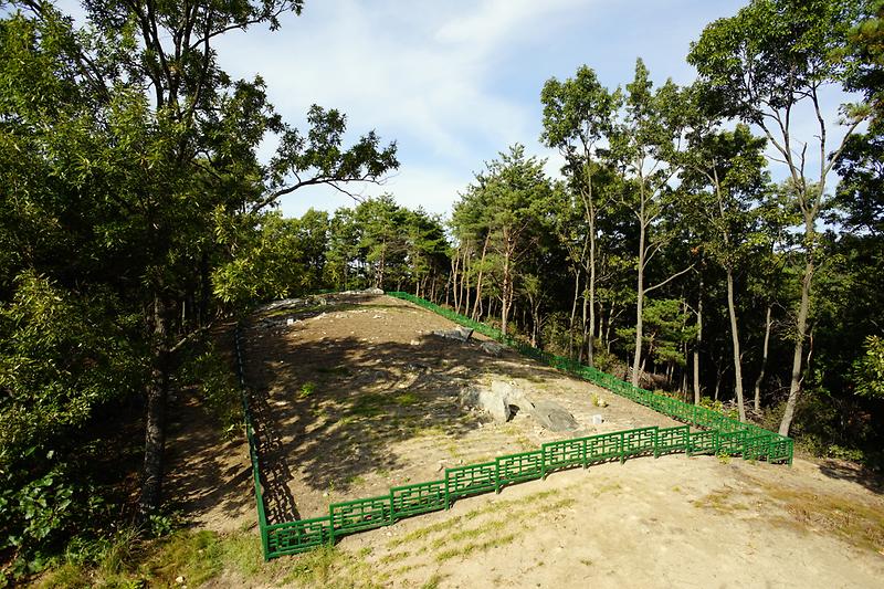 강화 삼거리 고인돌군 사진4