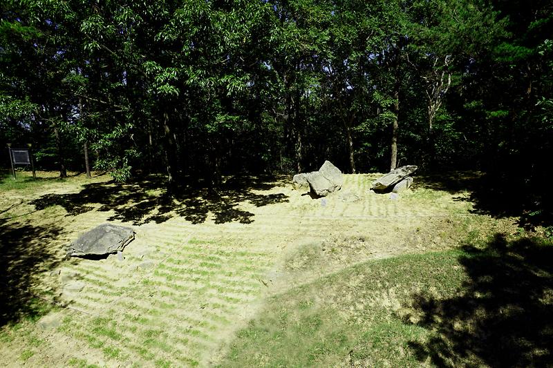 강화 교산리 고인돌군 사진4