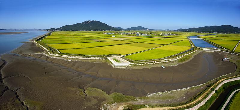 강화 망월돈대 사진