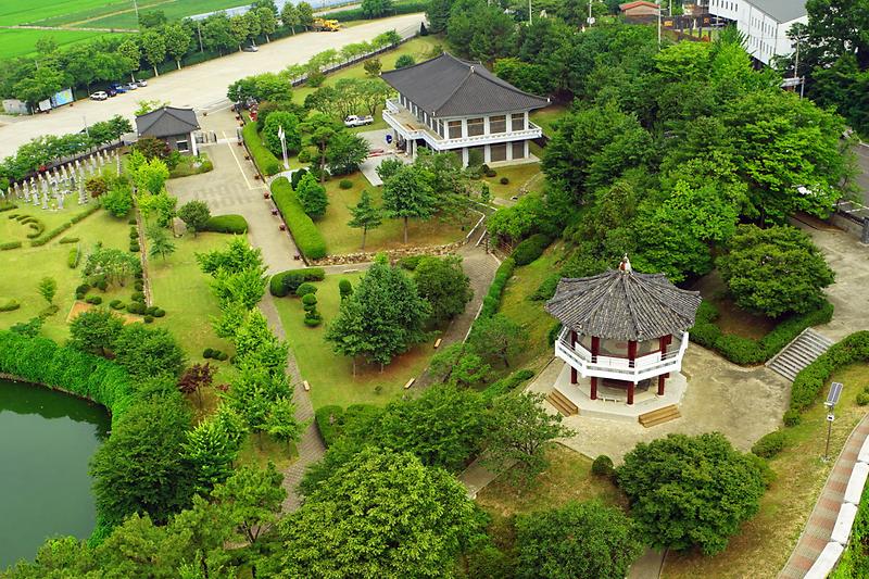 강화 갑곶리 탱자나무 사진6