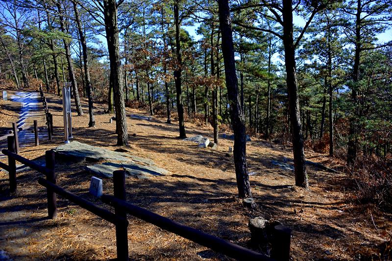 강화 고천리 고인돌군 사진6