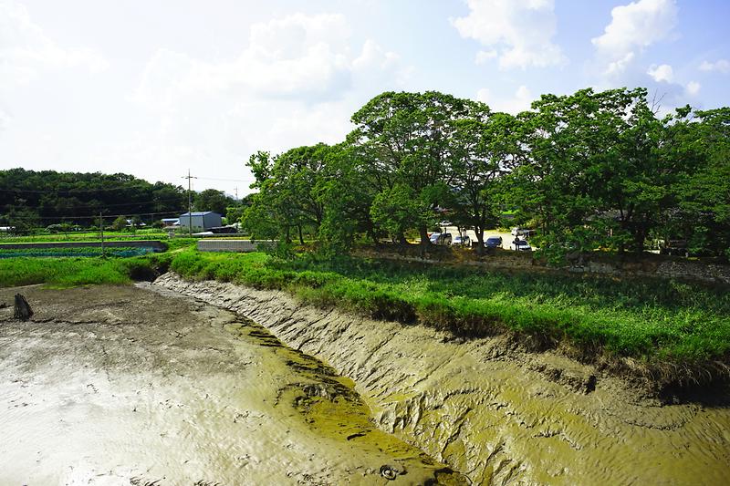 강화전성 사진9