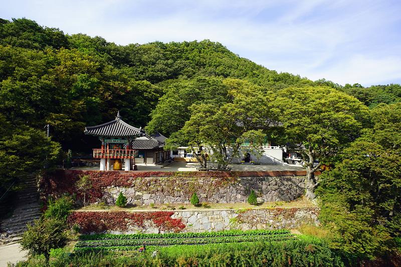 강화 적석사 사적비 사진9