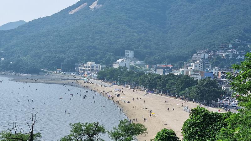 동막해변 사진12