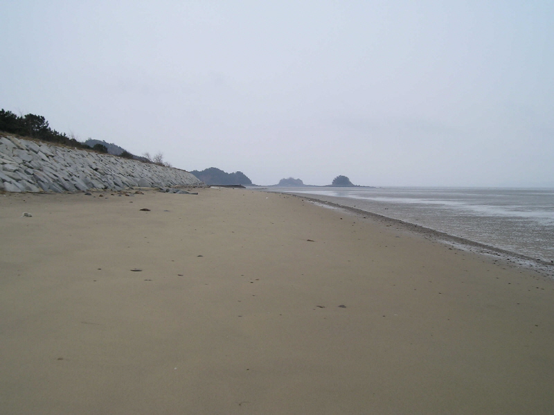 뒷장술해변 사진2