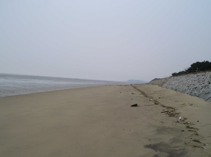 뒷장술해변 사진3