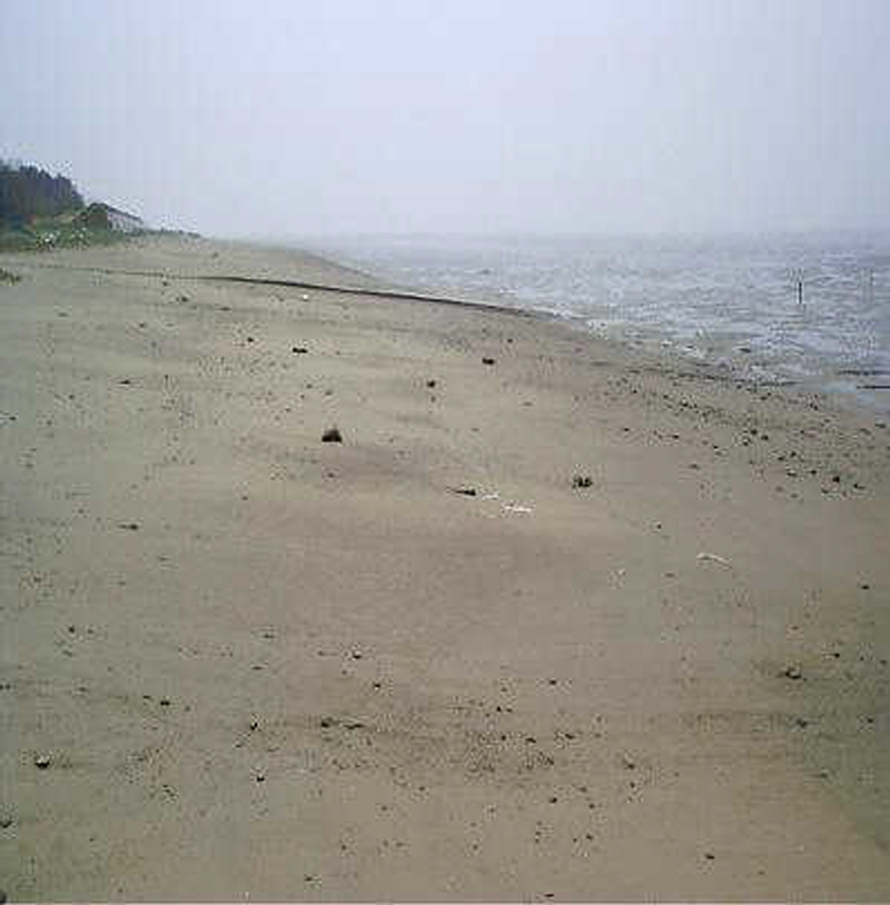 뒷장술해변 사진1