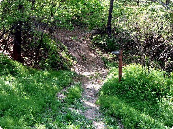 강화중성 사진1