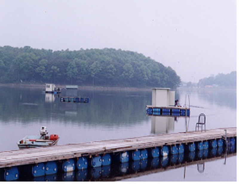 고려저수지 (내가저수지) 사진1
