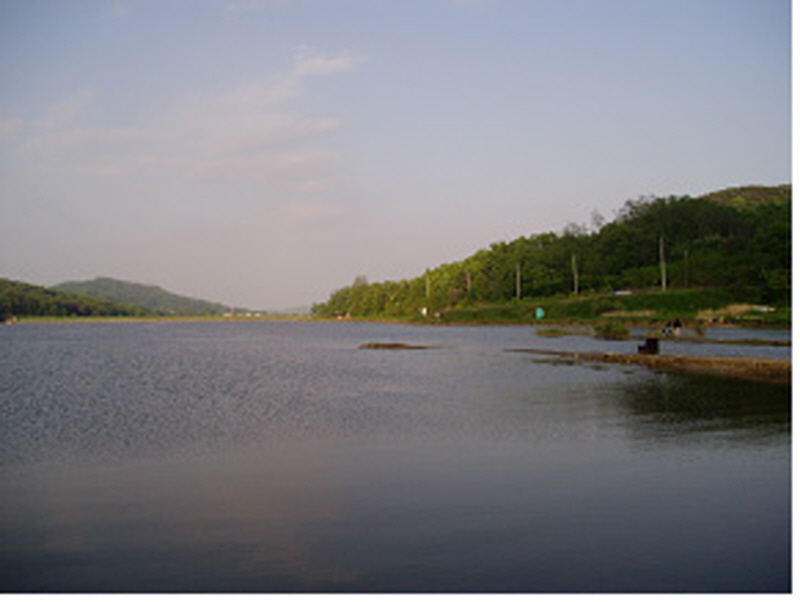 생태문화로(국화저수지) 사진3