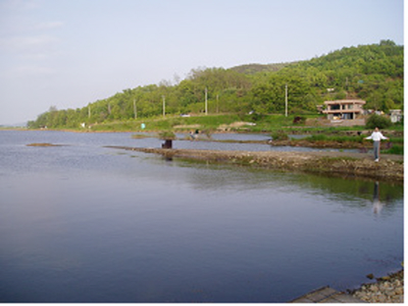 생태문화로(국화저수지) 사진4