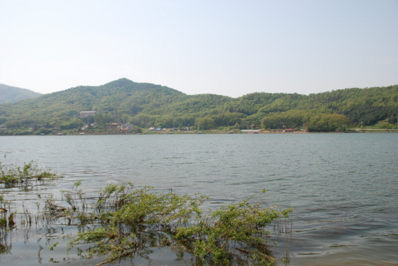 생태문화로(국화저수지) 사진5