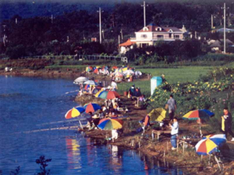 생태문화로(국화저수지) 사진