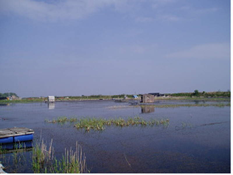 흥왕저수지 사진2