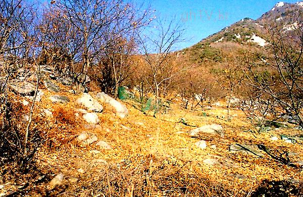 홍익한 택지 사진