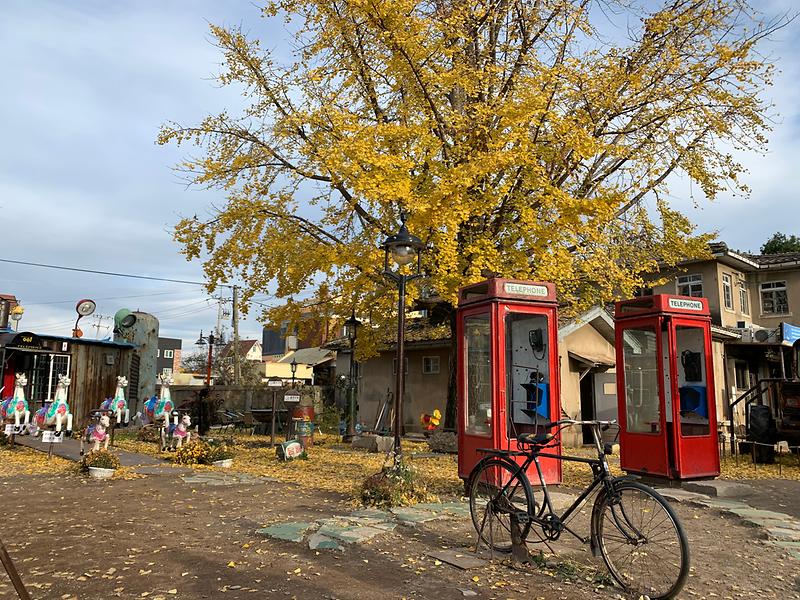 조양방직(신문리미술관) 사진6