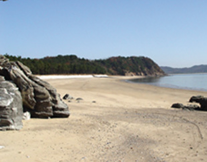 조개골해변 사진1