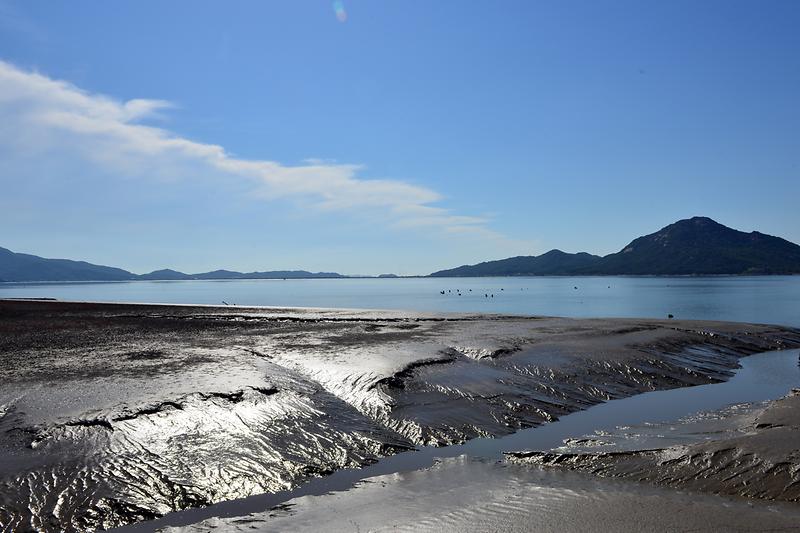 강화갯벌 및 저어새번식지 사진10