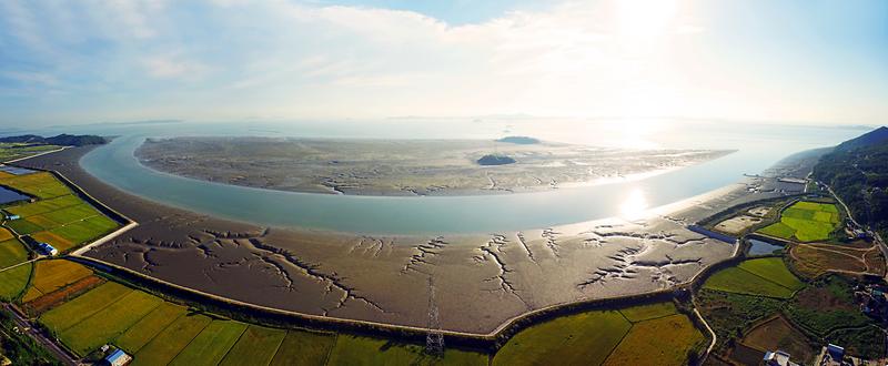 강화갯벌 및 저어새번식지 사진11