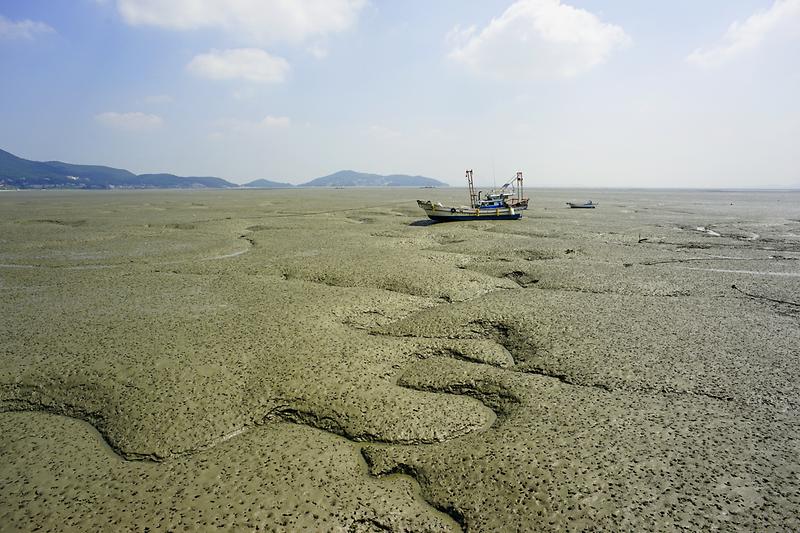 강화갯벌 및 저어새번식지 사진1